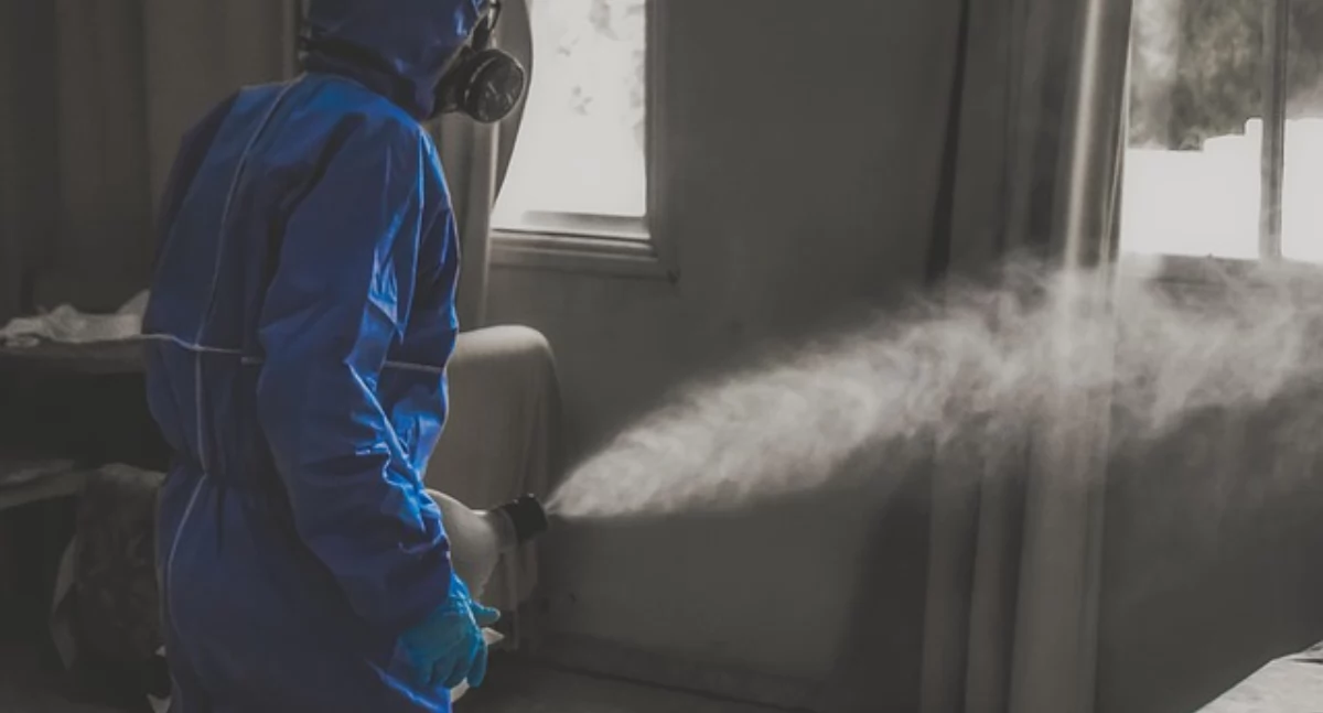 Informator / Materiały zewnętrzne , Skuteczna dezynsekcja mieście - zdjęcie, fotografia