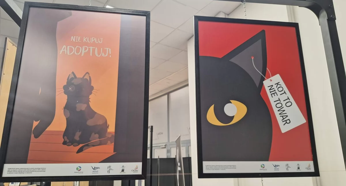 Kącik kulturalny, Wystawa „Kocie sprawy” czyli kotach „człowiekach” - zdjęcie, fotografia