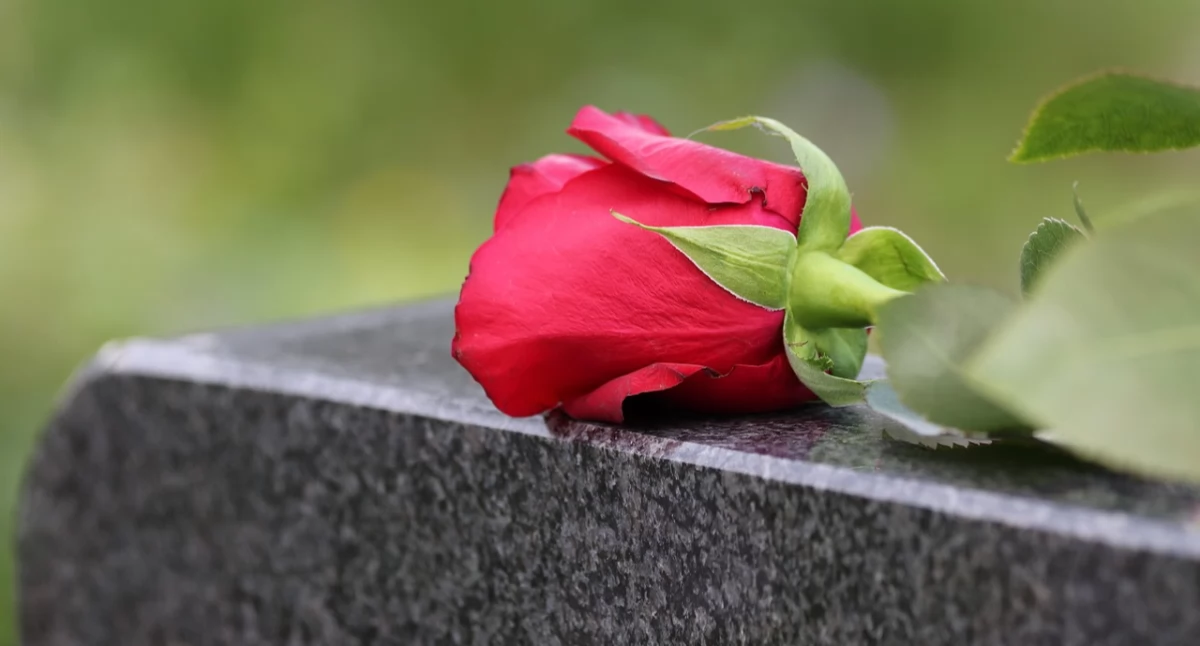 Ludzie, Przeprosiny - zdjęcie, fotografia