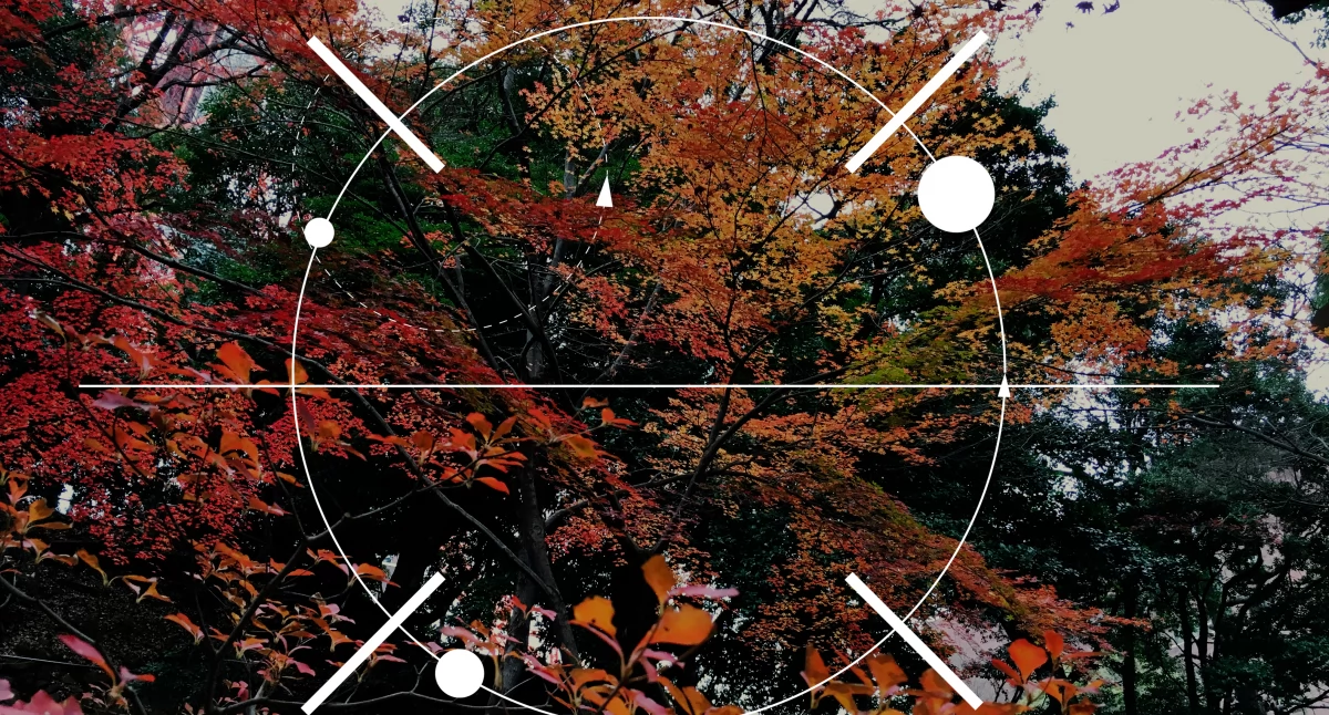 Informator / Materiały zewnętrzne , Nowoczesne kolimatory celowniki holograficzne precyzja która zmienia sposób celowania - zdjęcie, fotografia