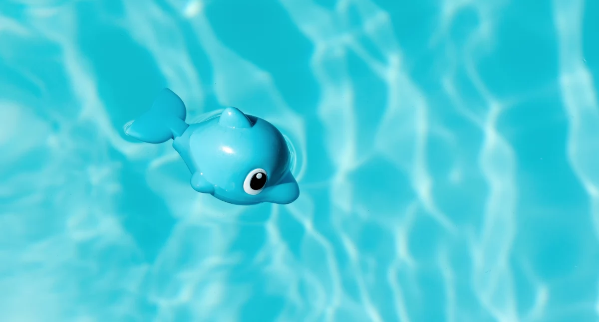 Informator / Materiały zewnętrzne , zabezpieczyć basen stelażowy zimę kroku - zdjęcie, fotografia