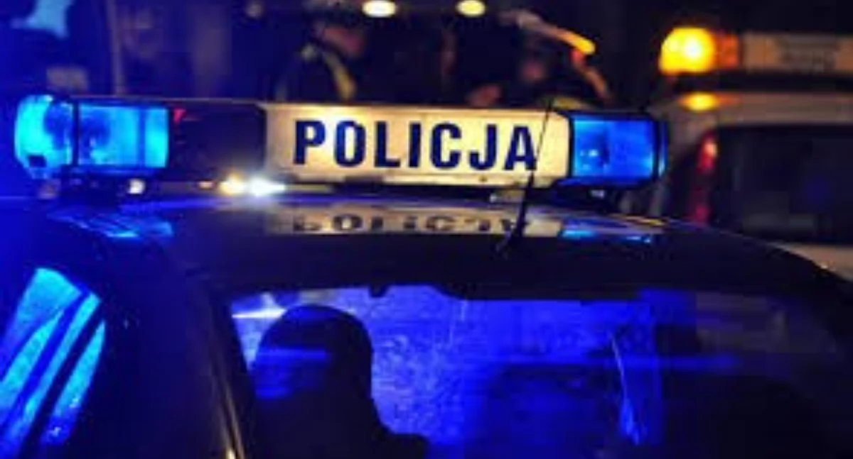 Wypadki drogowe, Pijany pieszy wtargnął samochód Został ukarany mandatem - zdjęcie, fotografia