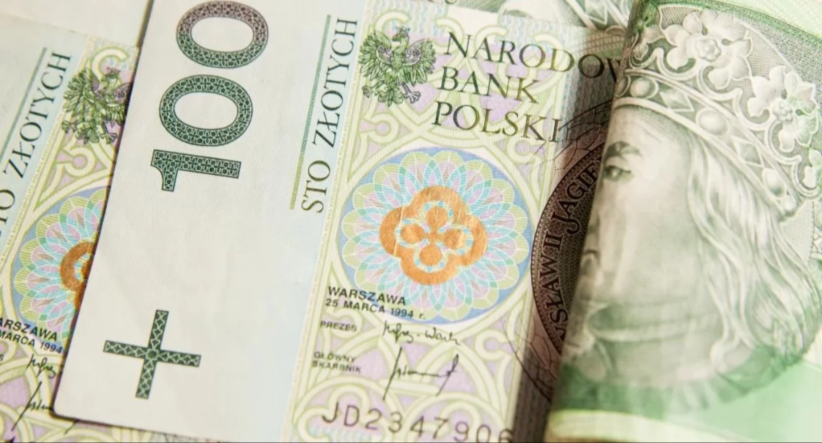 Życie miasta, rozliczeniu podatkowym rzeczywiście zyskuje podatnik - zdjęcie, fotografia