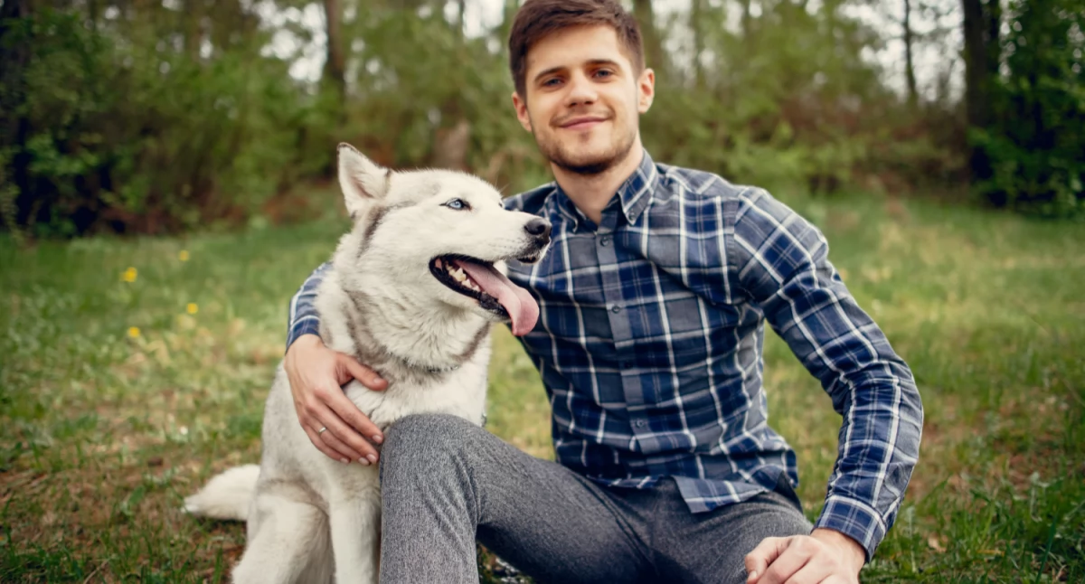 Informator / Materiały zewnętrzne , Fascynuje świat jamników yorków border collie Poznaj zawód behawiorysty! - zdjęcie, fotografia
