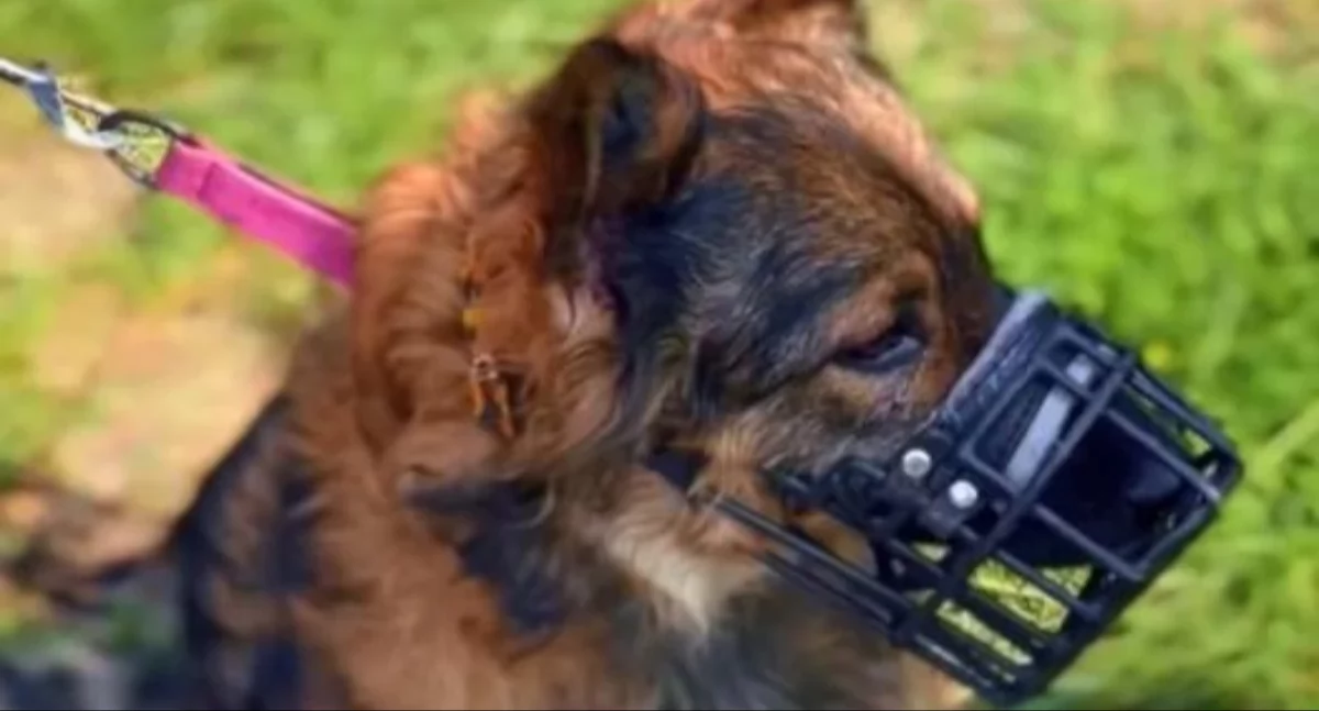 Życie miasta, Podatek Wyższe stawki wszędzie wszystkich - zdjęcie, fotografia