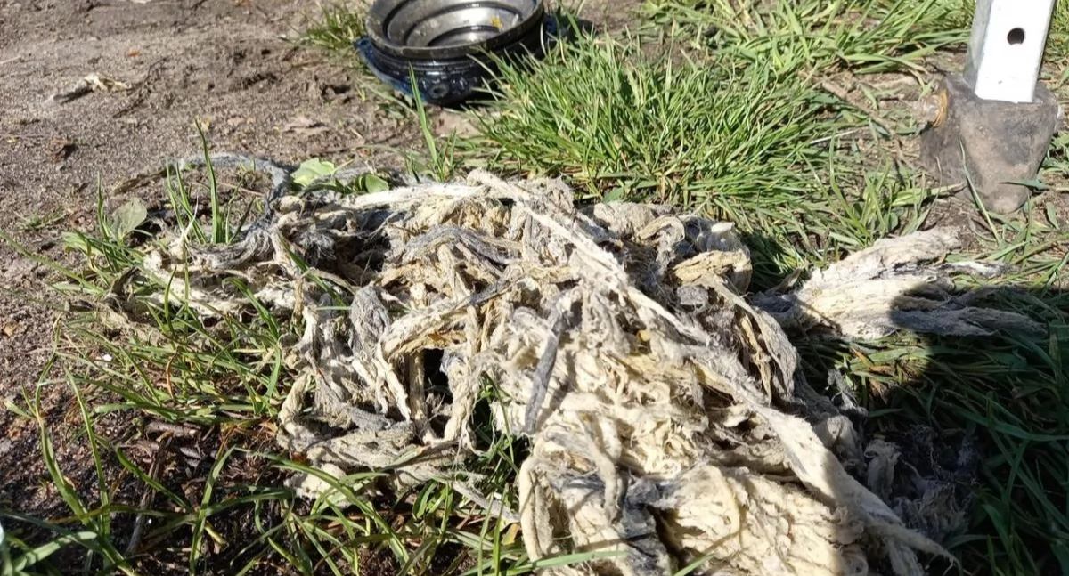 Życie miasta, wrzucaj toalety Wodociągi przypominają zasadach - zdjęcie, fotografia