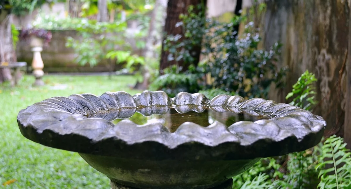 Bądź ECO, Program „Błękitno zielona Infrastruktura” wystartował - zdjęcie, fotografia