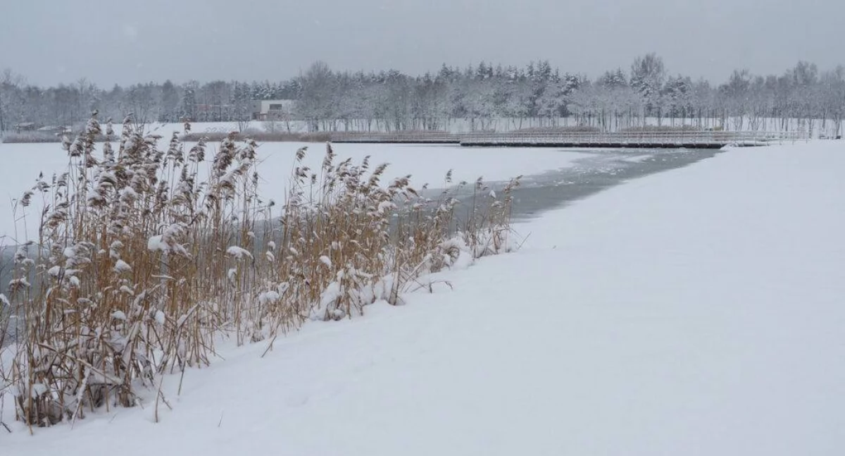 Życie miasta, sprzyja aktywności wymaga ostrożności Policja apeluje rozwagę - zdjęcie, fotografia