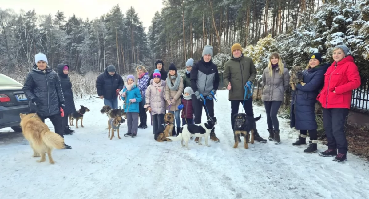 Zwierzęta, Akademia charytatywnej akcji zwierząt Artemidy - zdjęcie, fotografia