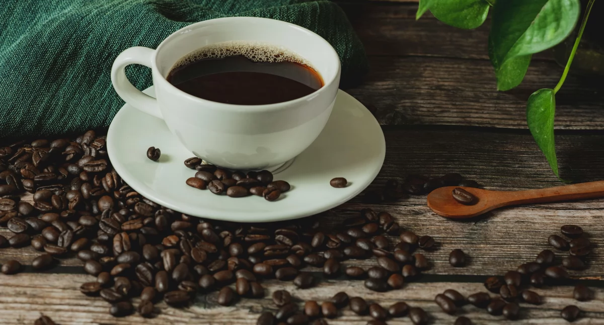 Informator / Materiały zewnętrzne , Poznaj najlepsze brazylijskie - zdjęcie, fotografia