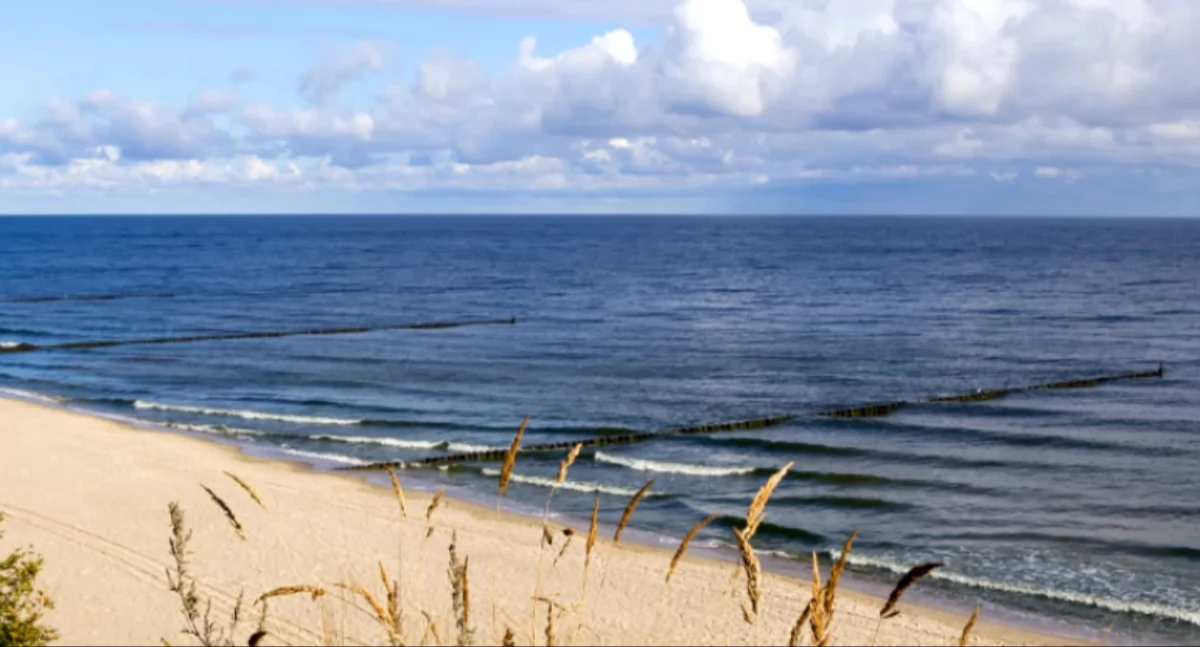 Do Sejmu trafiła petycja, która może wydłużyć święta Polaków