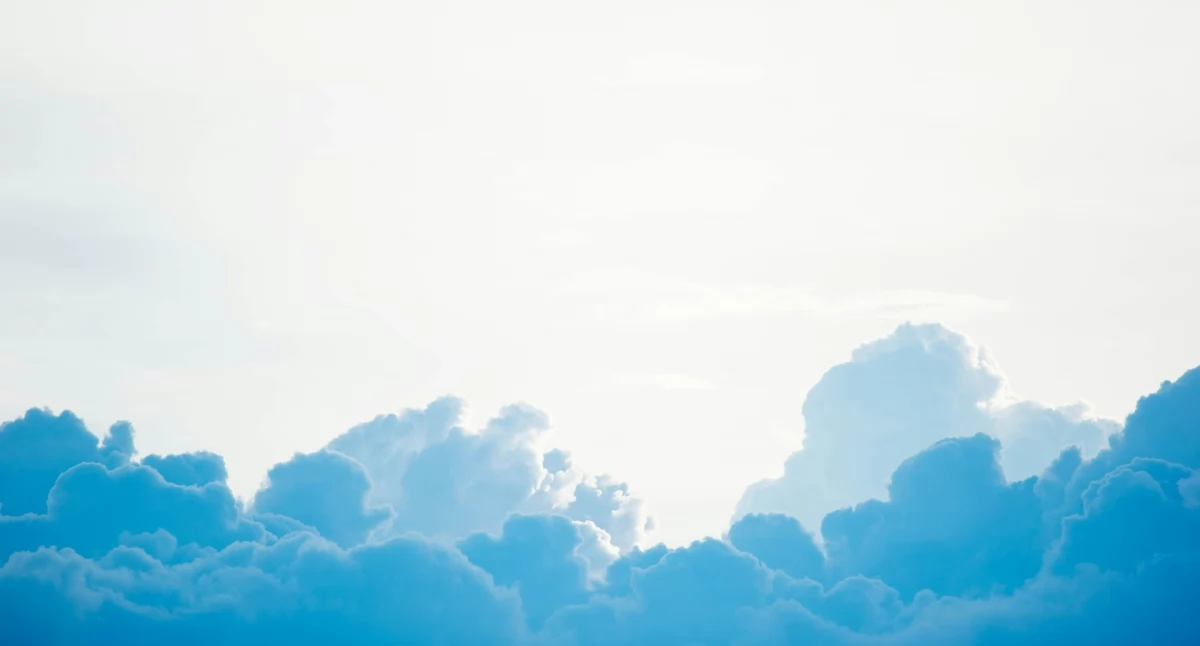 Informator / Materiały zewnętrzne , hosting wybrać firmy Praktyczny przewodnik biznesu - zdjęcie, fotografia