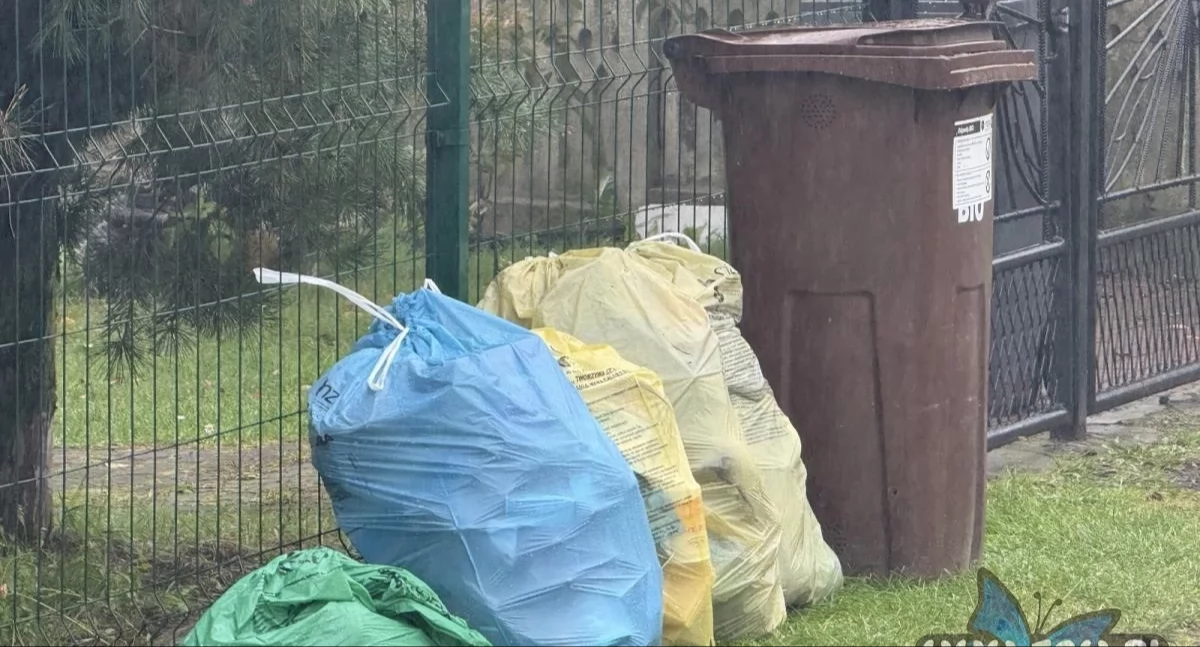 Życie miasta, Śmieci droższe przez nieuczciwych Miasto Jaworzno sprawdzi deklaracje mieszkańców - zdjęcie, fotografia