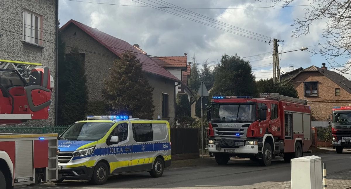 Interwencja służb na ulicy Kasztanowej