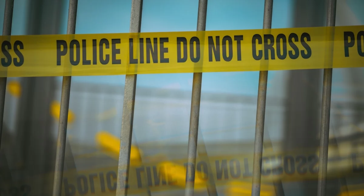 Informator / Materiały zewnętrzne , Dlaczego książki crime przyciągają miliony czytelników całym świecie - zdjęcie, fotografia