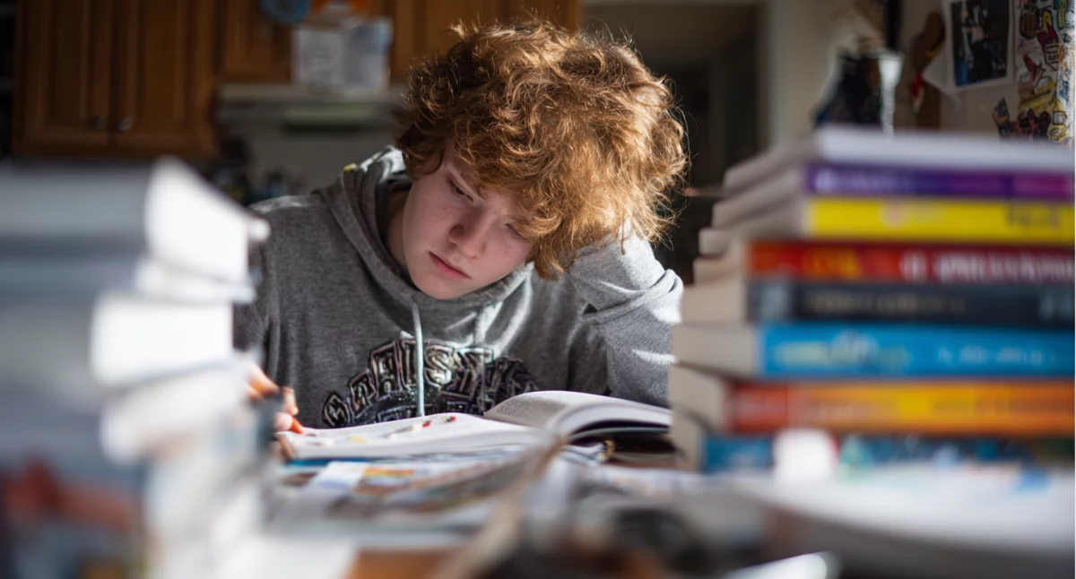 Informator / Materiały zewnętrzne , zdać egzamin ósmoklasisty zachować spokój - zdjęcie, fotografia