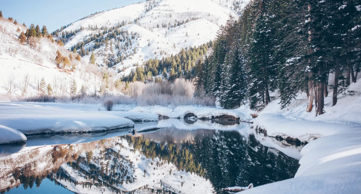 Informator / Materiały zewnętrzne , Ferie zimowe górach dziećmi wypoczynek który łączy pokolenia - zdjęcie, fotografia