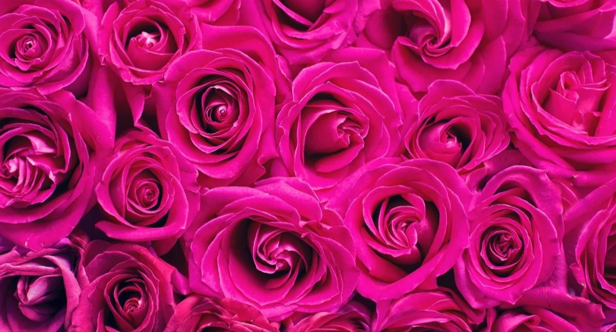 Życie miasta, Dzień Kobiet Klubem - zdjęcie, fotografia