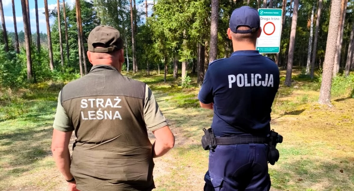 Kontrole policji i strażników leśnych. Fot. ilustracyjna KPP w Tucholi