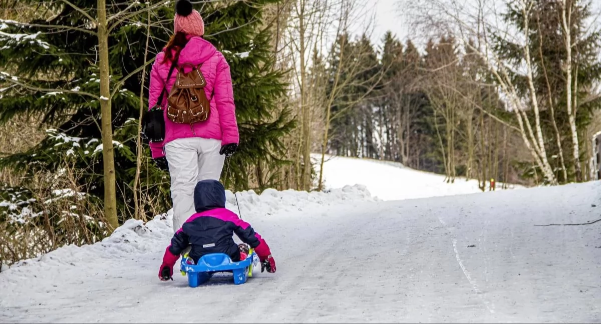 Życie miasta, Podsumowanie akcji Bezpieczne ferie województwie śląskim - zdjęcie, fotografia