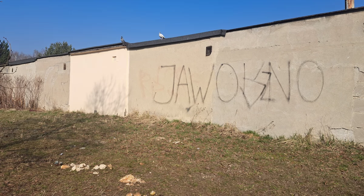 Chleb rozrzucony obok garaży na Osiedlu Podłęże. Fot. Patrycja Koprzak