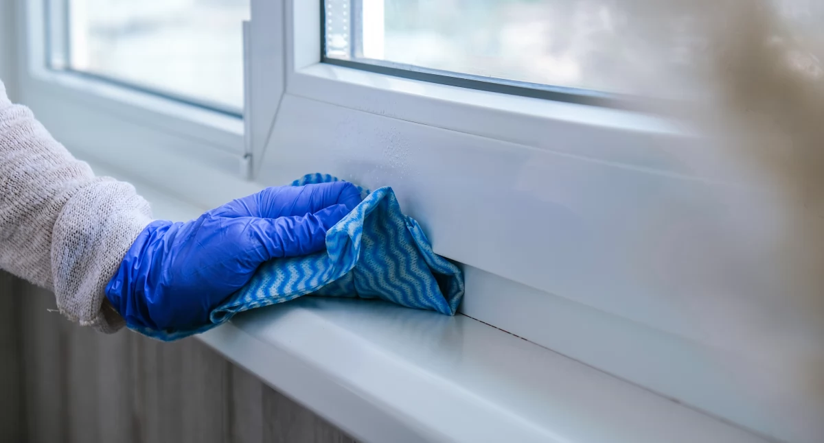 Informator / Materiały zewnętrzne , Dlaczego sprzątanie remoncie budowie Clean Master realne wsparcie Łodzi - zdjęcie, fotografia