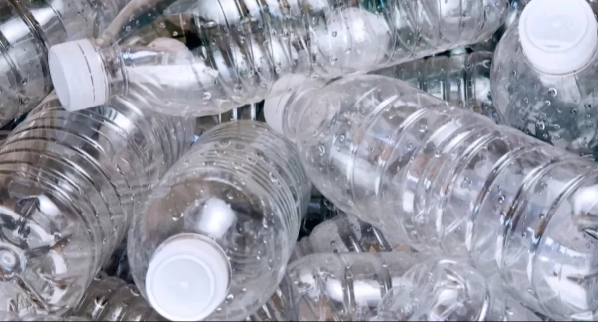 Życie miasta, System kaucyjny działa dwóch miesięcy wszyscy odbierają pieniądze - zdjęcie, fotografia