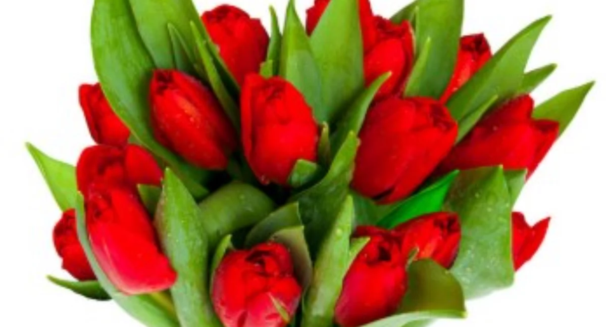 Życie miasta, Zaproszenie imieniny Krystyn piątek marca - zdjęcie, fotografia