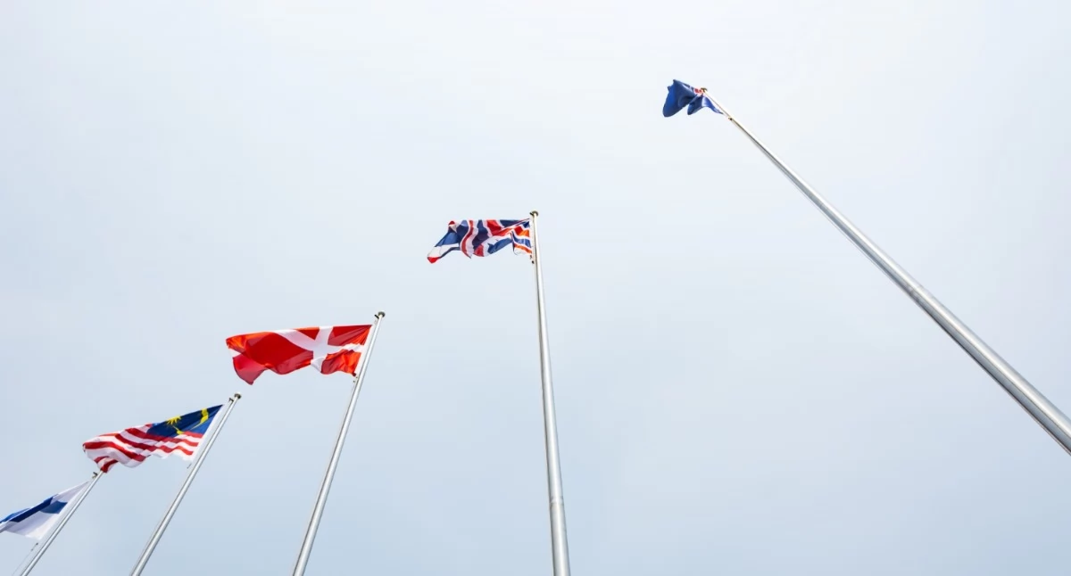 Informator / Materiały zewnętrzne , Maszt flagi zimie checklista przeglądu - zdjęcie, fotografia