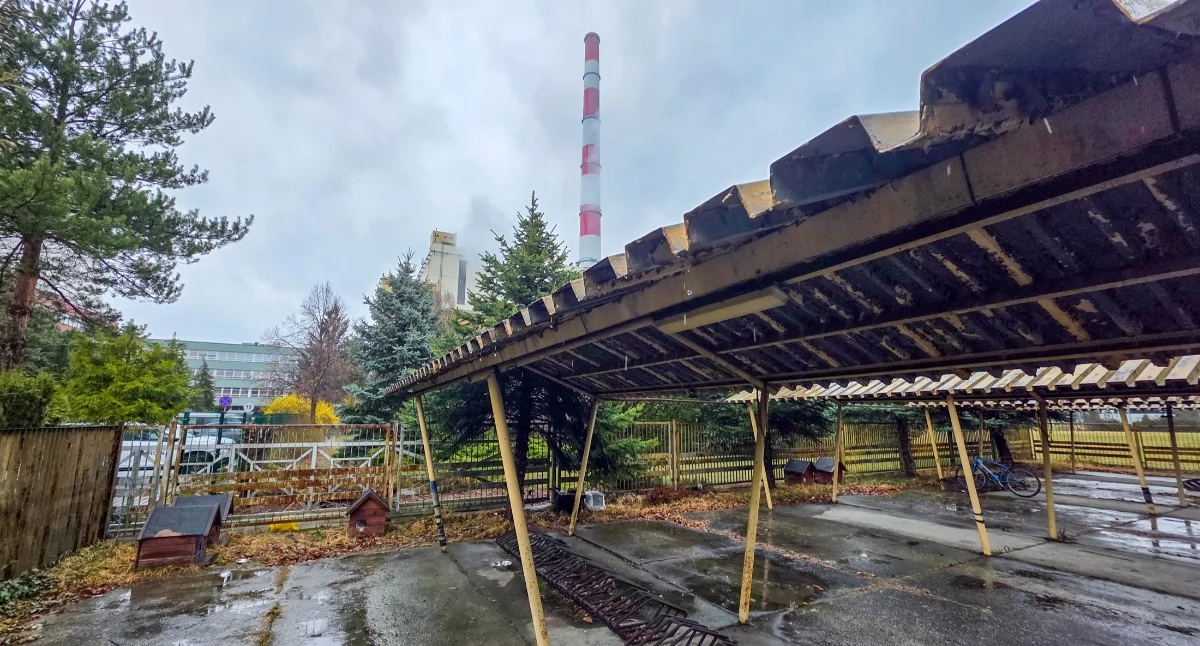 Zwierzęta, terenie Elektrowni Jaworzno zadbano kastrowane nowymi domkami - zdjęcie, fotografia