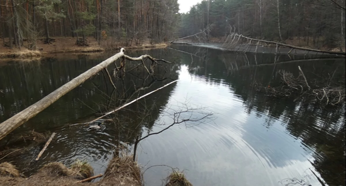 Żabnik, zachodni staw