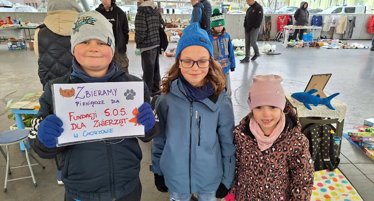 Życie miasta, Jaworznicki Pchli ekipa zajączka - zdjęcie, fotografia