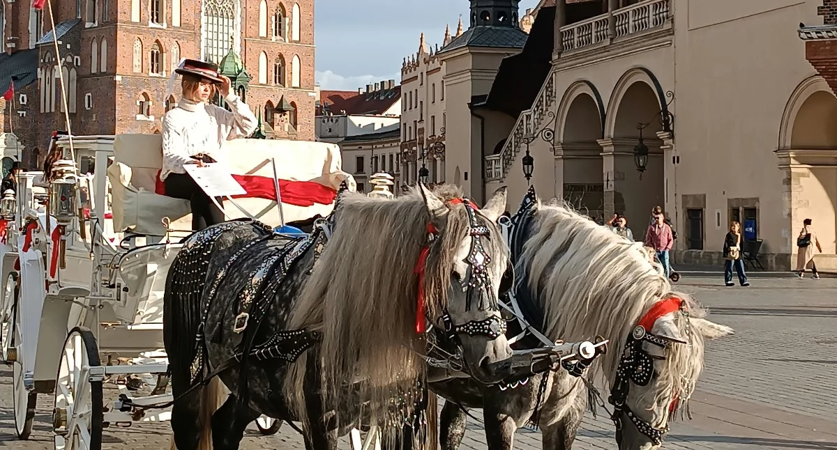 Informator / Materiały zewnętrzne , break wiosną Krakowa kierunek wybrać - zdjęcie, fotografia