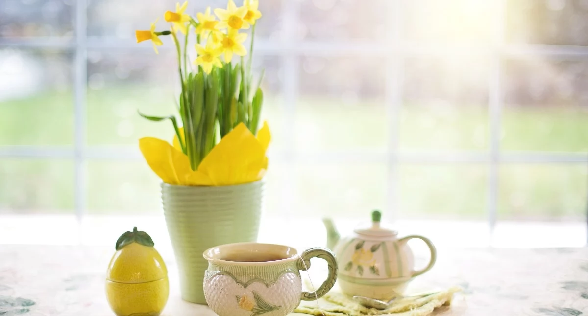 Prognoza pogody Jaworzno. Wielkanoc