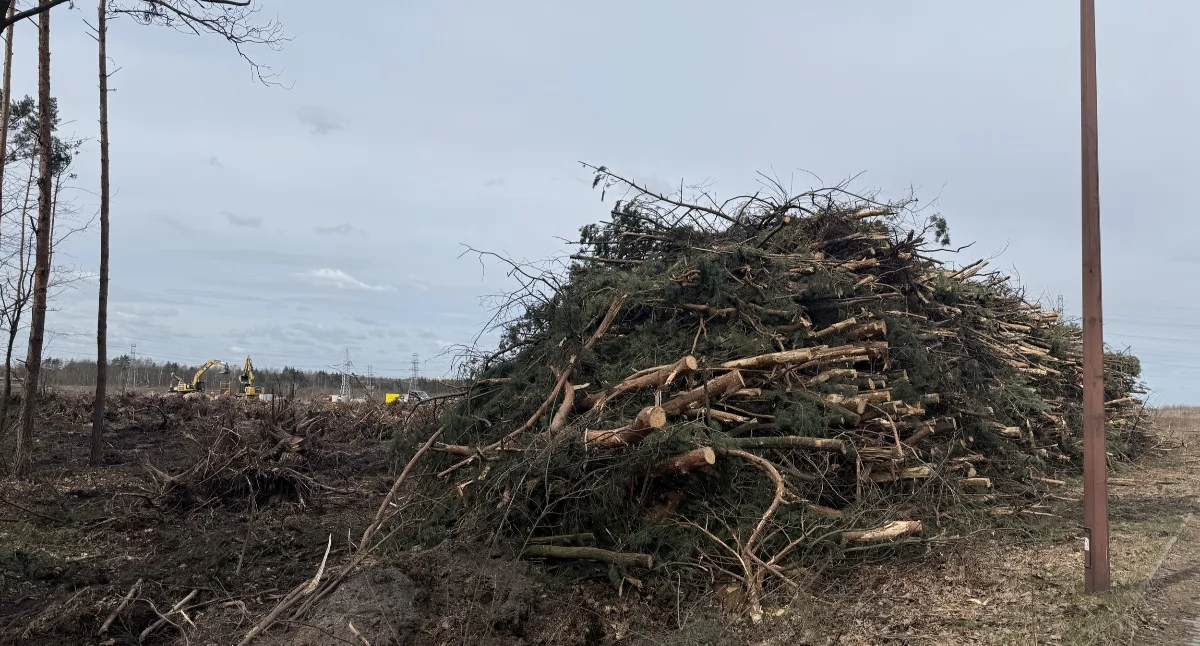 Przebudowa ulicy Wojska Polskiego