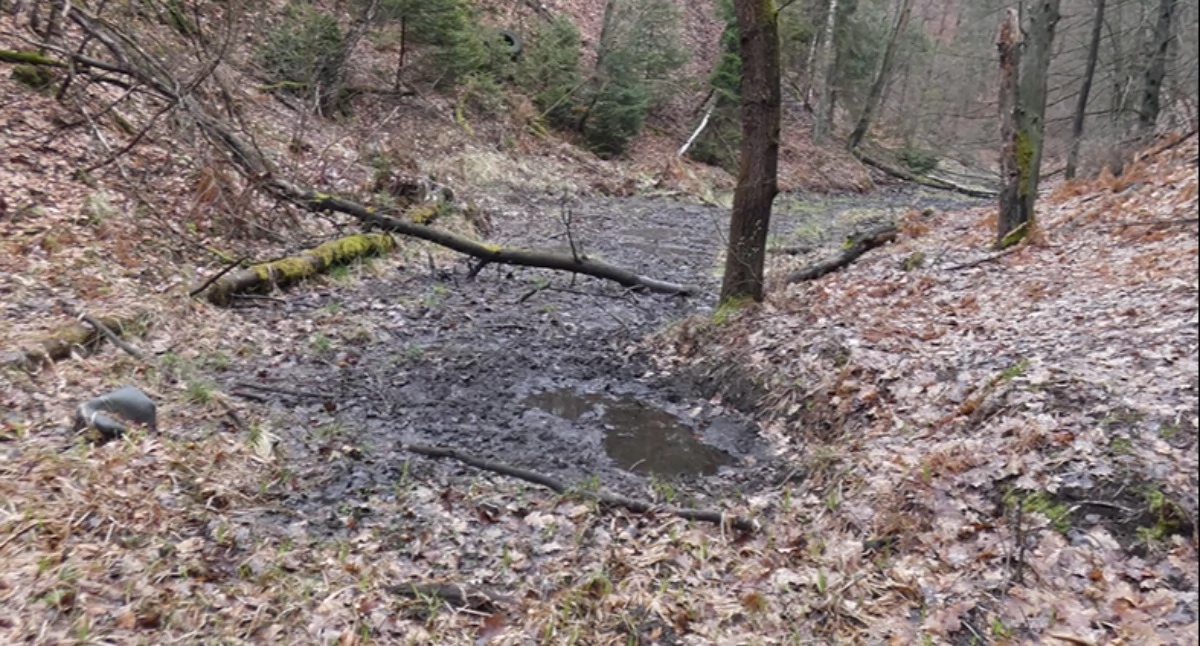 Wypływ wody Jaworznika