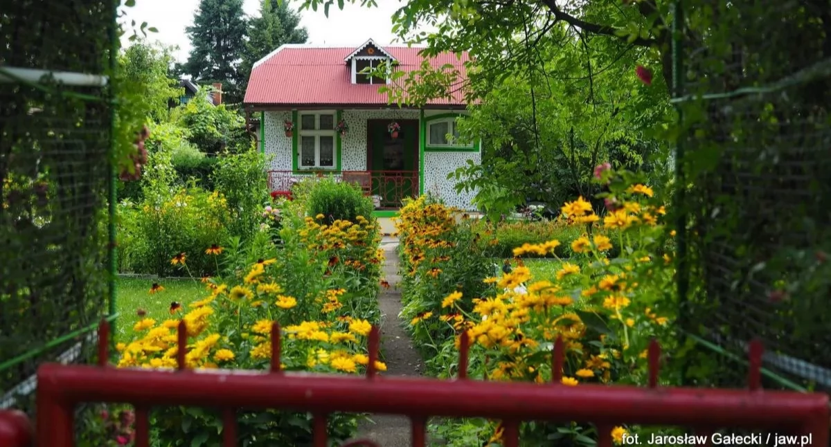 Życie miasta, Ogródki działkowe miejskim wsparciem - zdjęcie, fotografia