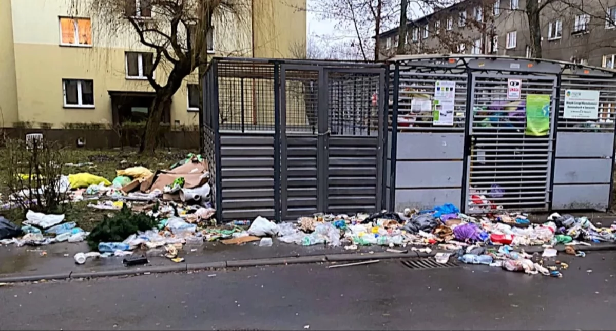 Życie miasta, Wywóz śmieci darmo jakich przypadkach możliwe - zdjęcie, fotografia