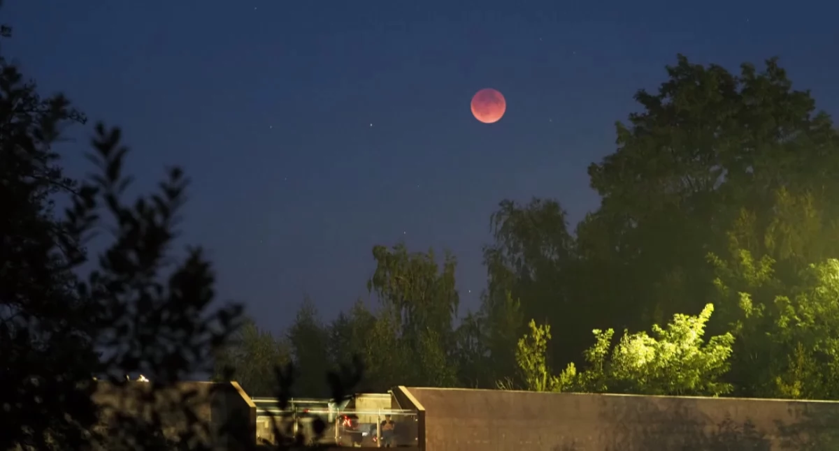 Życie miasta, Księżyc Jowisz blisko siebie Nocne niebo przygotowało widowisko - zdjęcie, fotografia