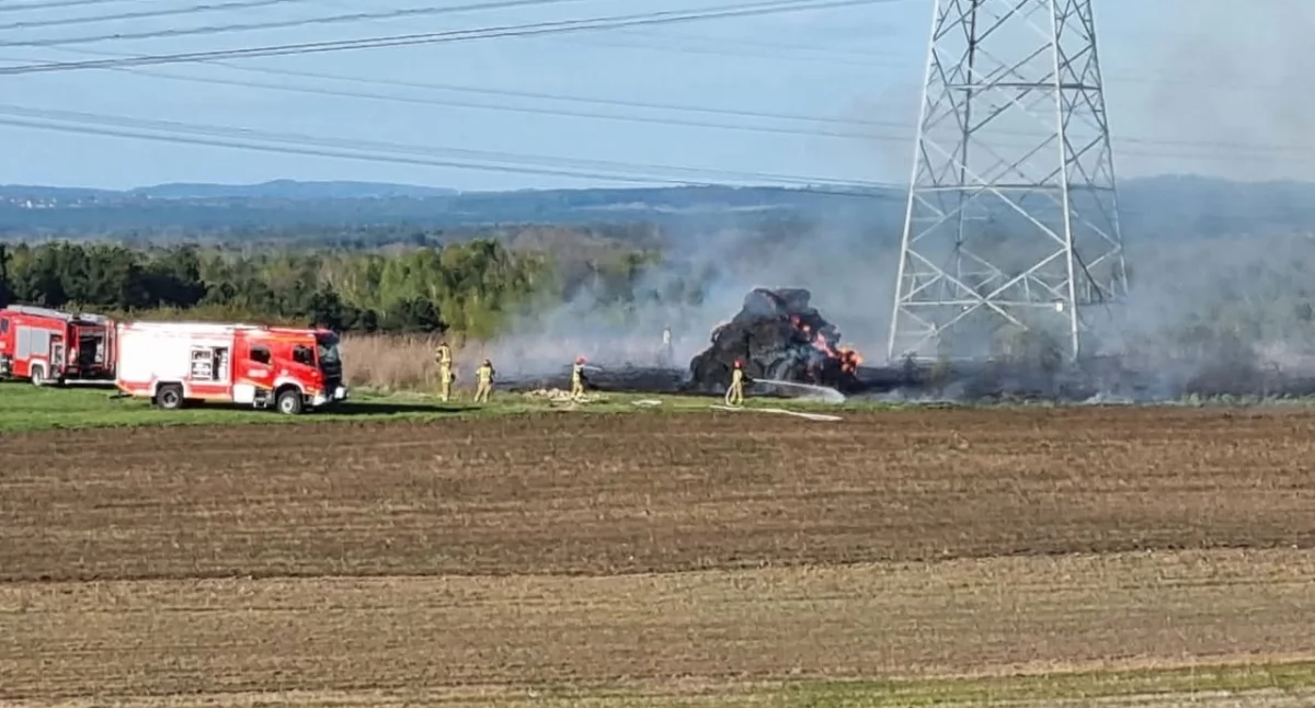 Pożar na łące w Jaworznie