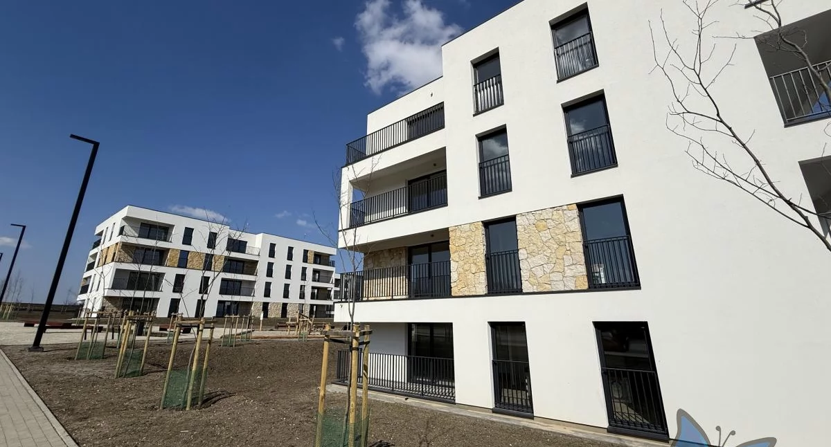 Życie miasta, Duże zainteresowanie mieszkaniami Ponad zgłoszeń startu naboru - zdjęcie, fotografia