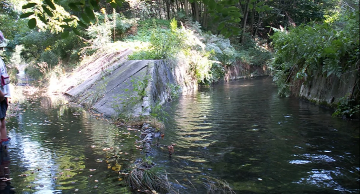 Jaworznik na lewo, Kozi Bród na prawo 26 sierpnia 2007 r.