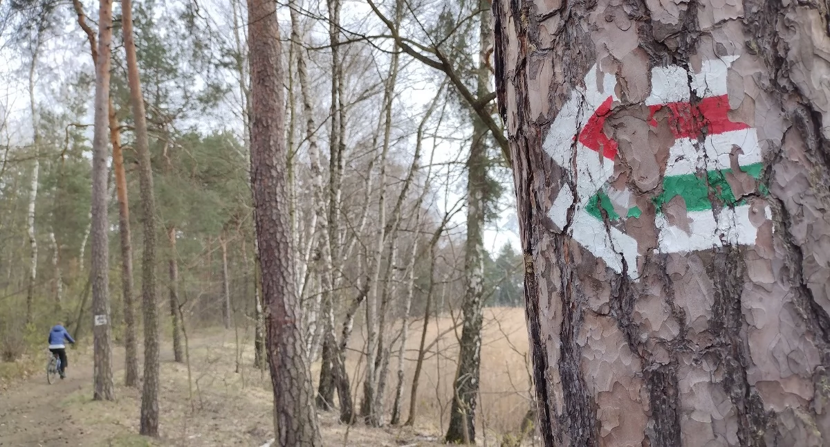 Oznaczenie szlaków pieszych i rowerowych na terenie Jaworzna wymaga odświeżenia. Jaworznicki oddział PTTK wnioskuje o dotację. Kto zajmie się odnowieniem oznakowań szlaków rowerowych? Fot. Patrycja Koprzak
