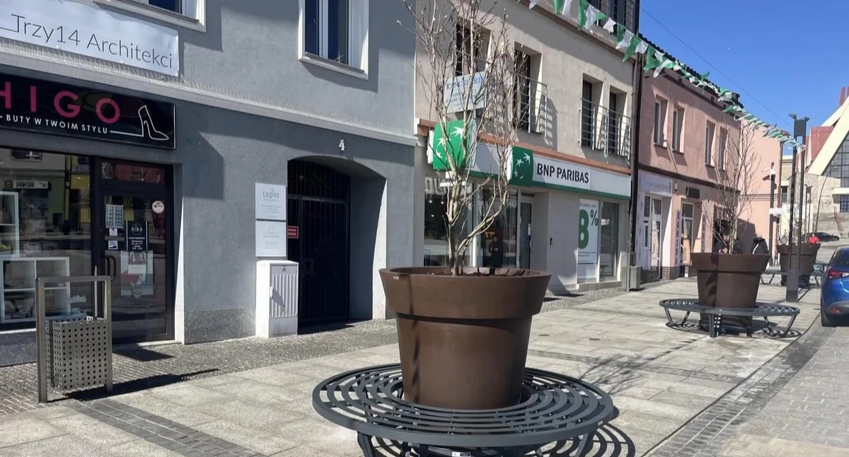 Życie miasta, MZDiM poszukuje pracownika sezonowego opieki miejską zielenią - zdjęcie, fotografia