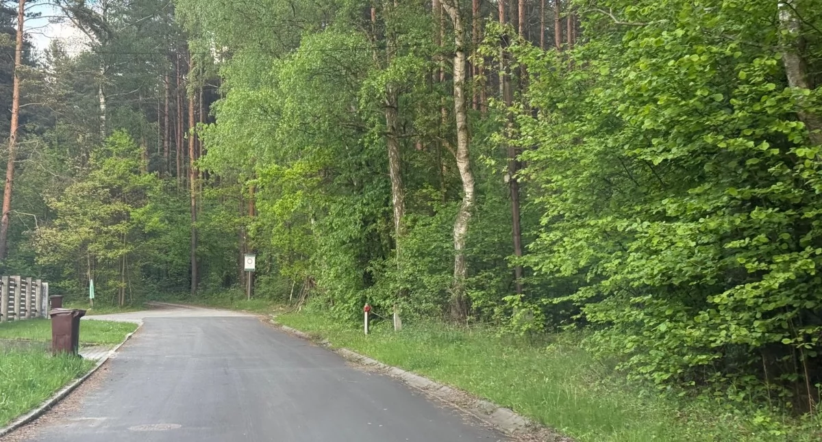 Pętla autobusowa ma powstać po prawej stronie. Do usunięcia będzie około 300 drzew - to liczba szacunkowa. Fot. Weronika Palka