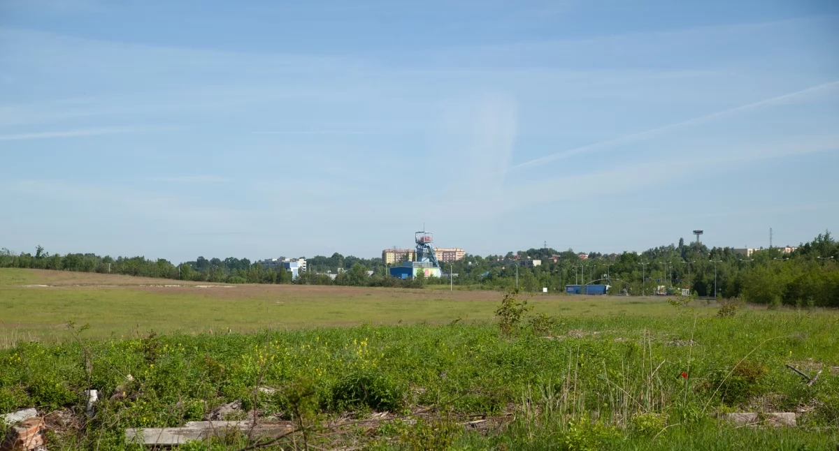 Widok w stronę części działki przy ulicy Radwańskich w Jaworznie, którą miasto planuje sprzedać. Całość to ponad 20 hektarów. Fot. Patrycja Koprzak