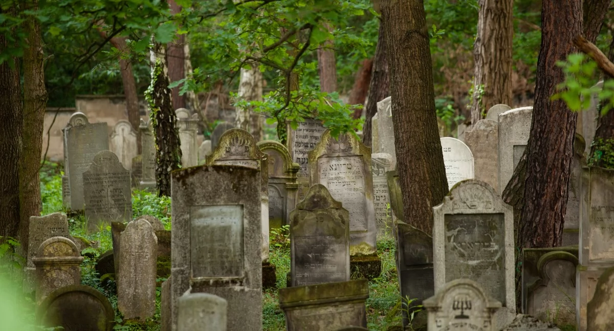 Jaworznicki kirkut na Podłężu będzie można zwiedzić z przewodnikiem. Fot. Patrycja Koprzak