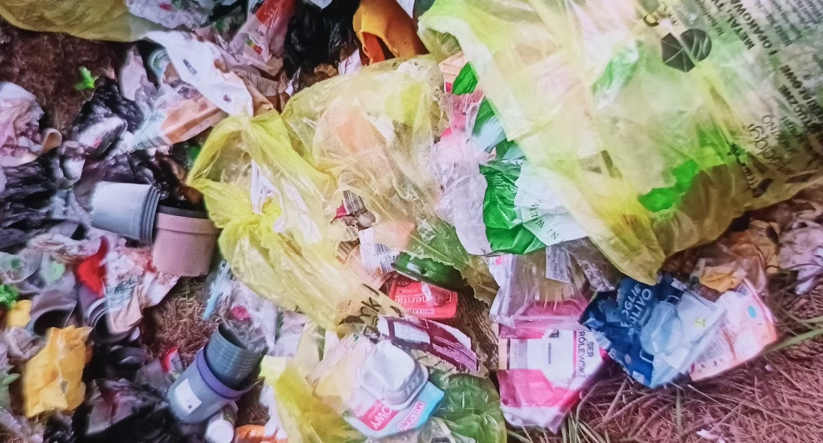 Życie miasta, Dziki rozrywają worki śmieciami Mieszkanka Jaworzna serdecznie dość - zdjęcie, fotografia