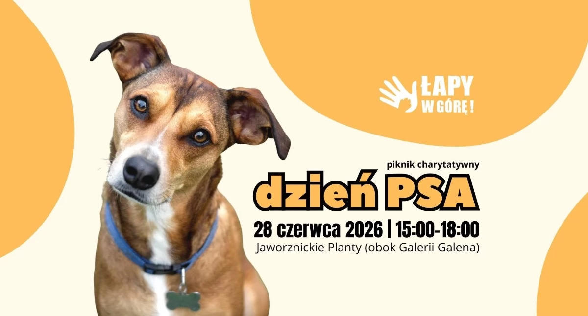 Rozrywka, Informacje kulturalne wydarzenia czerwca czerwca - zdjęcie, fotografia