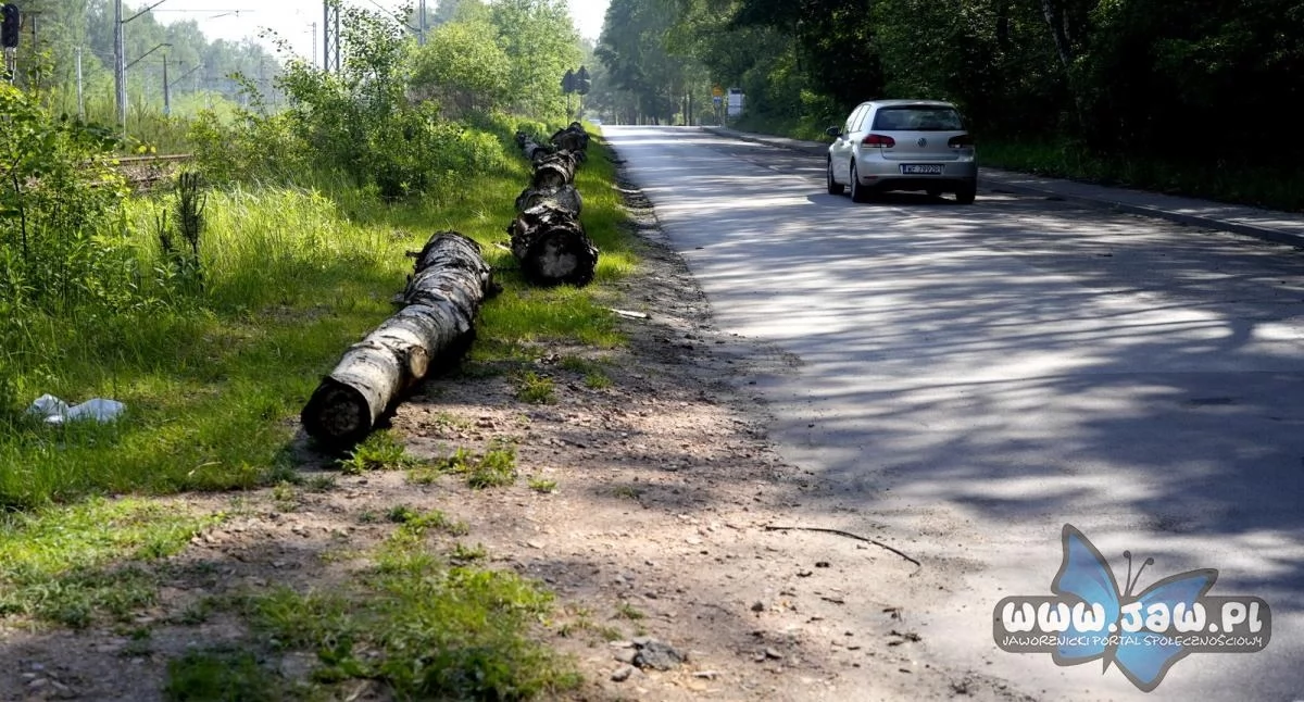 Kłody wzdłuż ulicy Bukowskiej. Droga na Zalew Sosina w Jaworznie.